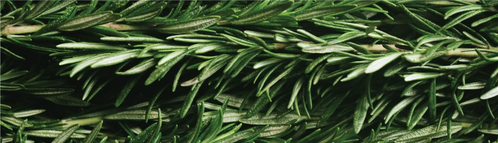 2017_INGREDIENTGARDEN_ROSEMARY_BANNER_2000X576
